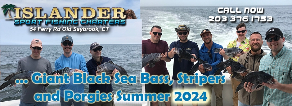 030-Giant-Black-Sea-Bass-Summer-2024